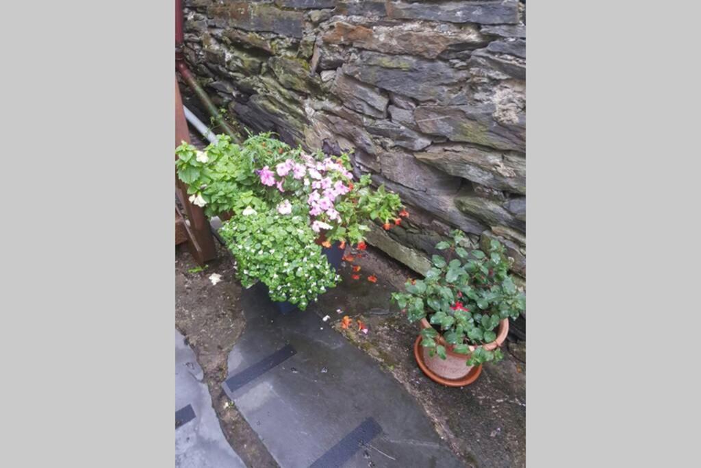 Porthmadog Harbour Town - High Street Apartment. エクステリア 写真